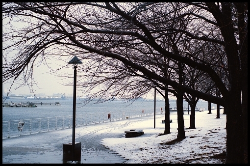 横浜　雪_d0119988_22302180.jpg