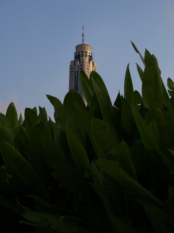 e0129891_1723272.jpg