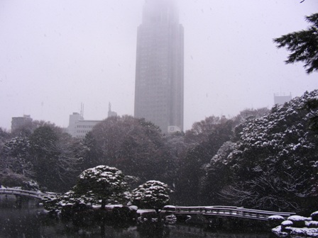 東京大雪　新宿御苑を撮影しました！_b0017892_20433379.jpg