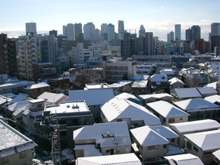 東京大雪　新宿御苑を撮影しました！_b0017892_2045723.jpg