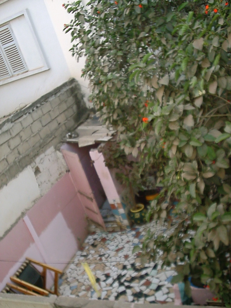 e0128692_15758.jpg