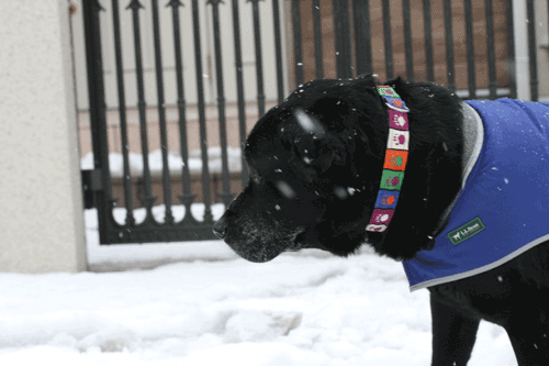 c0149893_23293759.gif