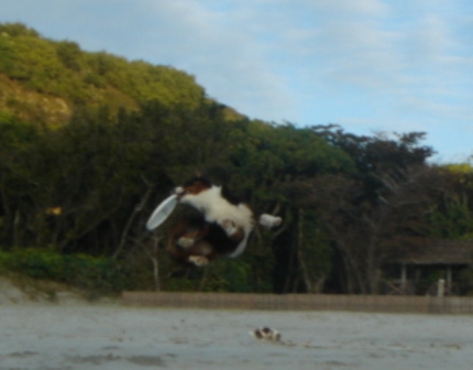 f0077697_20494491.jpg