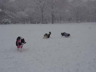 週末は。。。。雪国？＠日曜日_f0128501_10165788.jpg