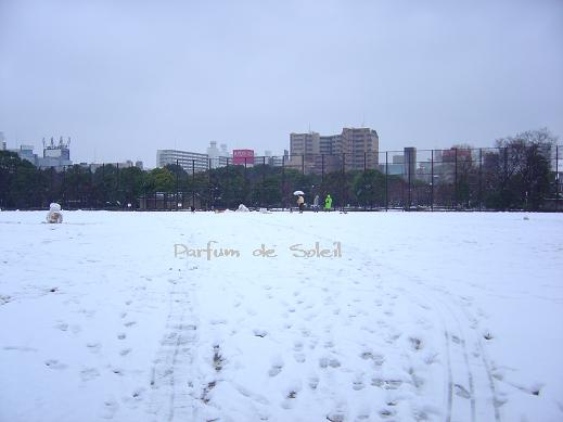 d0087503_20482253.jpg