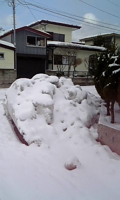 d0005807_7342125.jpg