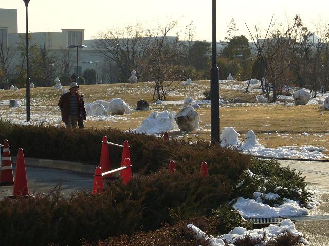 e0130008_16431384.jpg