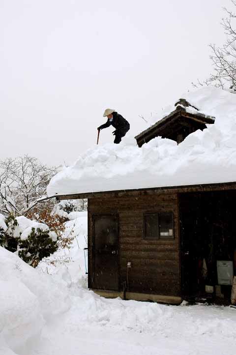 雪はとけて川となるのか　_d0149411_14225864.jpg