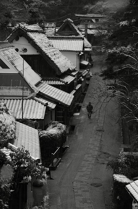 氷雨の嵯峨野景色_f0032011_19503329.jpg