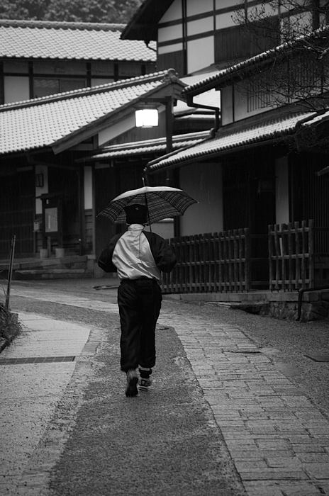 氷雨の嵯峨野景色_f0032011_19542531.jpg