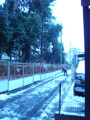 d0058312_19681.jpg