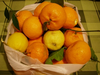 f0133814_8512284.jpg