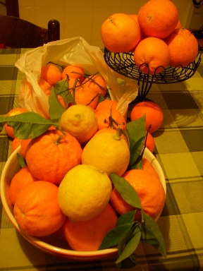 f0133814_8515121.jpg