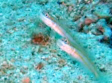 a0043520_23492097.jpg