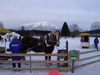 岩手雪まつり。_d0122721_14513973.jpg