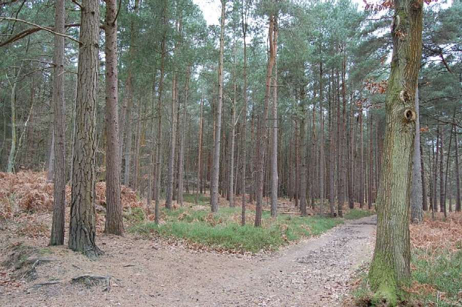 d0104926_717569.jpg