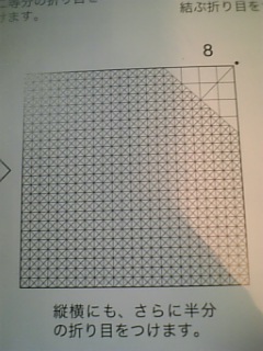 孔雀 真 の折り図 情報フレア 孔雀 真 の折り図 情報フレア
