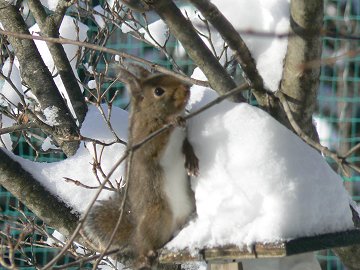 きれい・かわいい・重い_f0019247_22365317.jpg