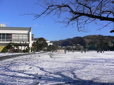 雪の鎌倉_a0041650_17523028.jpg