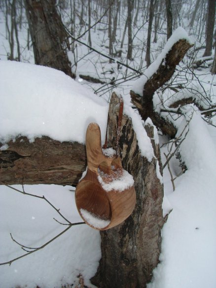 雪の奥多摩_e0024555_751586.jpg