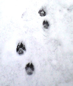 c0131164_044448.jpg