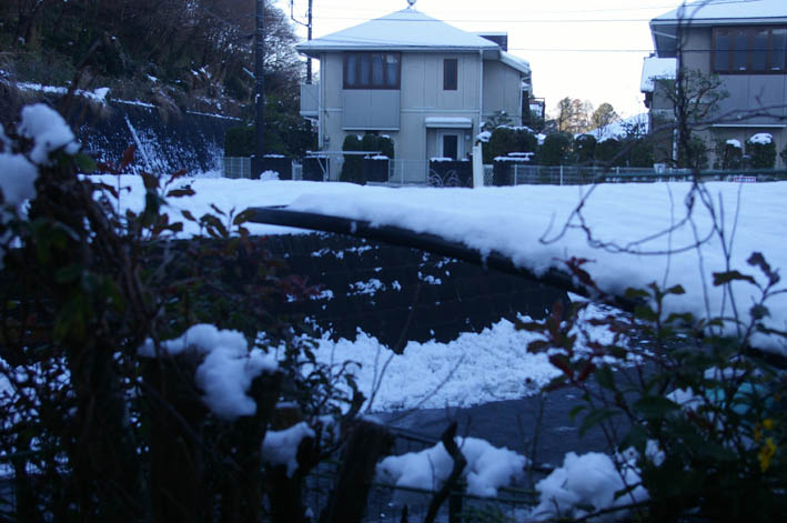 大雪の翌朝、自宅2階からは富士山がくっきり（2008・2・4）_c0014967_93443.jpg