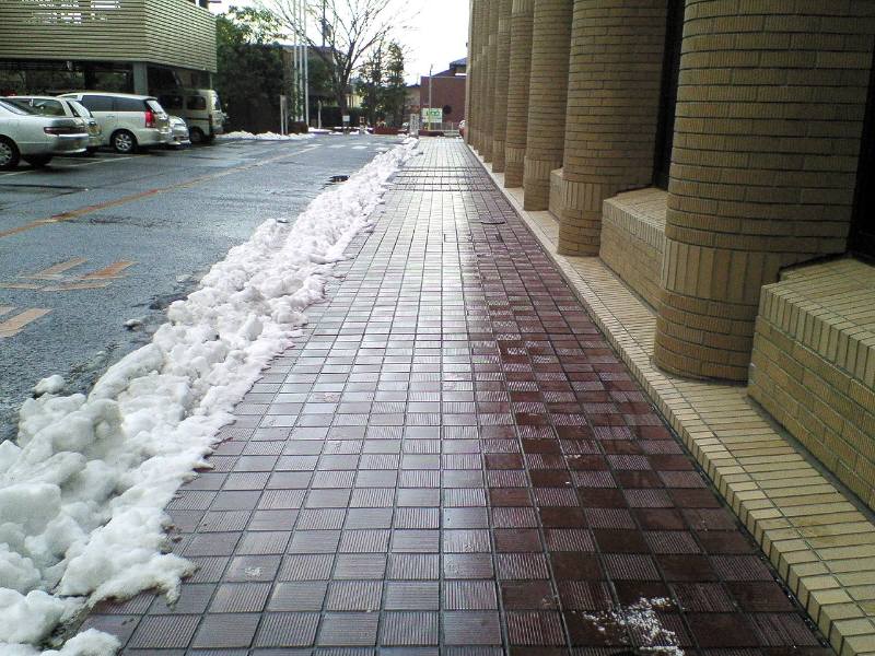 雪に弱い東京人_f0059673_2391788.jpg
