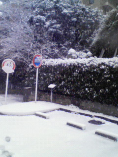 c0154876_13285754.jpg