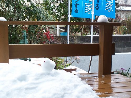 三木の家27　雪の見学会_e0042581_8124394.jpg