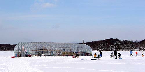 f0092382_8592271.jpg