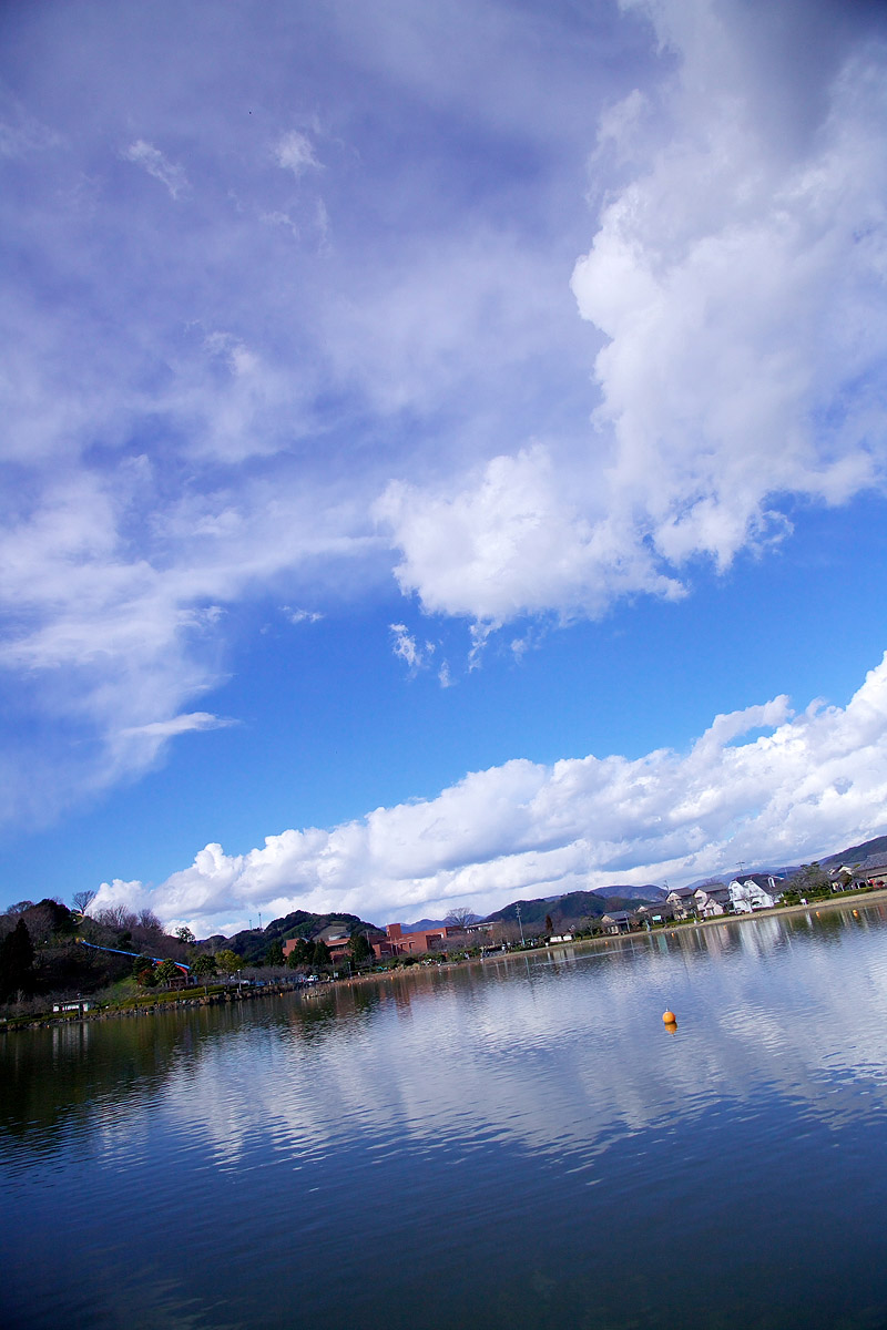 f0007684_1632226.jpg
