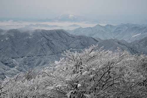 天気予報は・・・・_a0079987_7522743.jpg