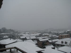 e0047591_12464957.jpg