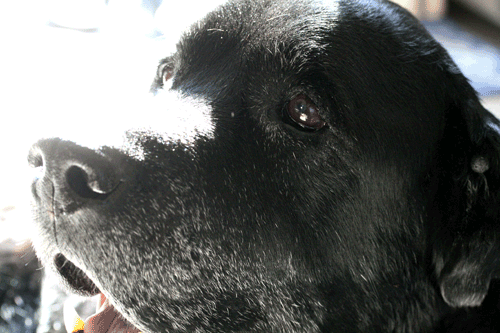 c0149893_02548.gif