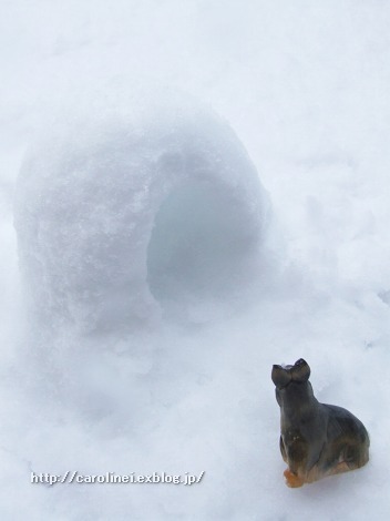 雪の節分、そして立春_d0025294_1614595.jpg