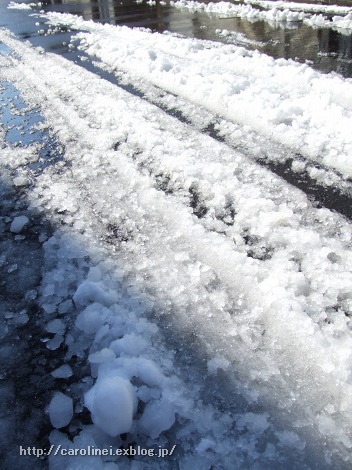 雪の節分、そして立春_d0025294_162656.jpg