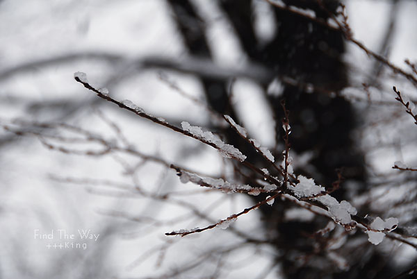 写真_f0054594_1464729.jpg