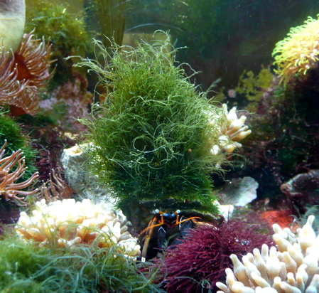 f0146198_1527830.jpg