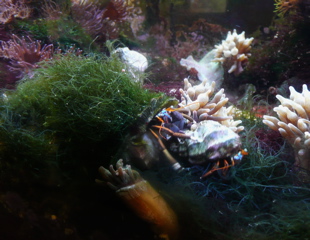 f0146198_15592892.jpg