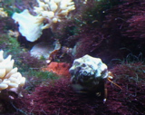 f0146198_16362467.jpg