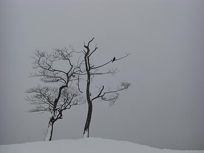 a0041508_12272729.jpg