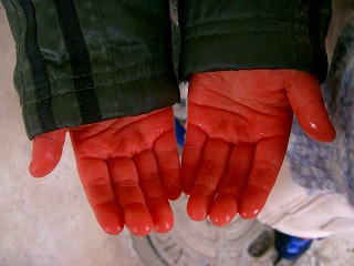 e0012808_163410.jpg