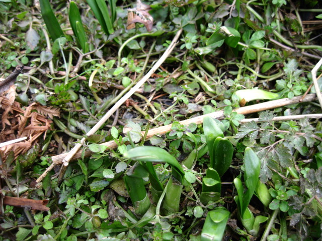 f0128316_1042990.jpg