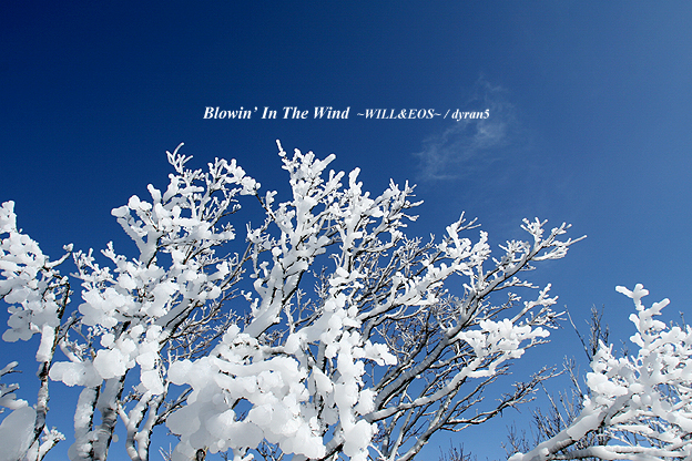 白い冬　〜鶴見岳山頂にて〜_f0157219_20571279.jpg