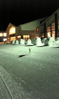 c0114121_20515934.jpg