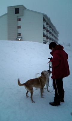 c0114121_21215114.jpg