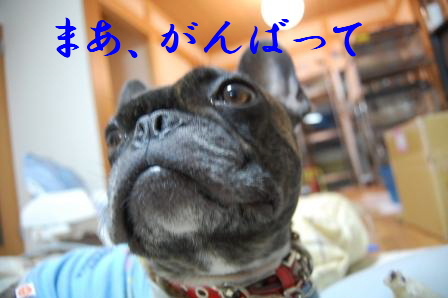c0130324_0405096.jpg