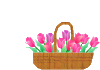 a0104326_23564985.gif