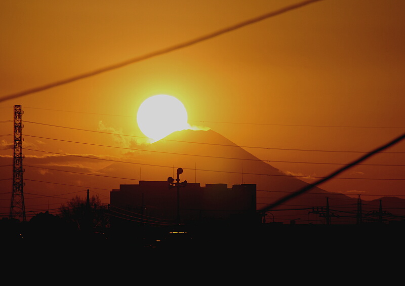 d0137627_2051235.jpg