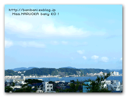 d0020828_15525684.gif